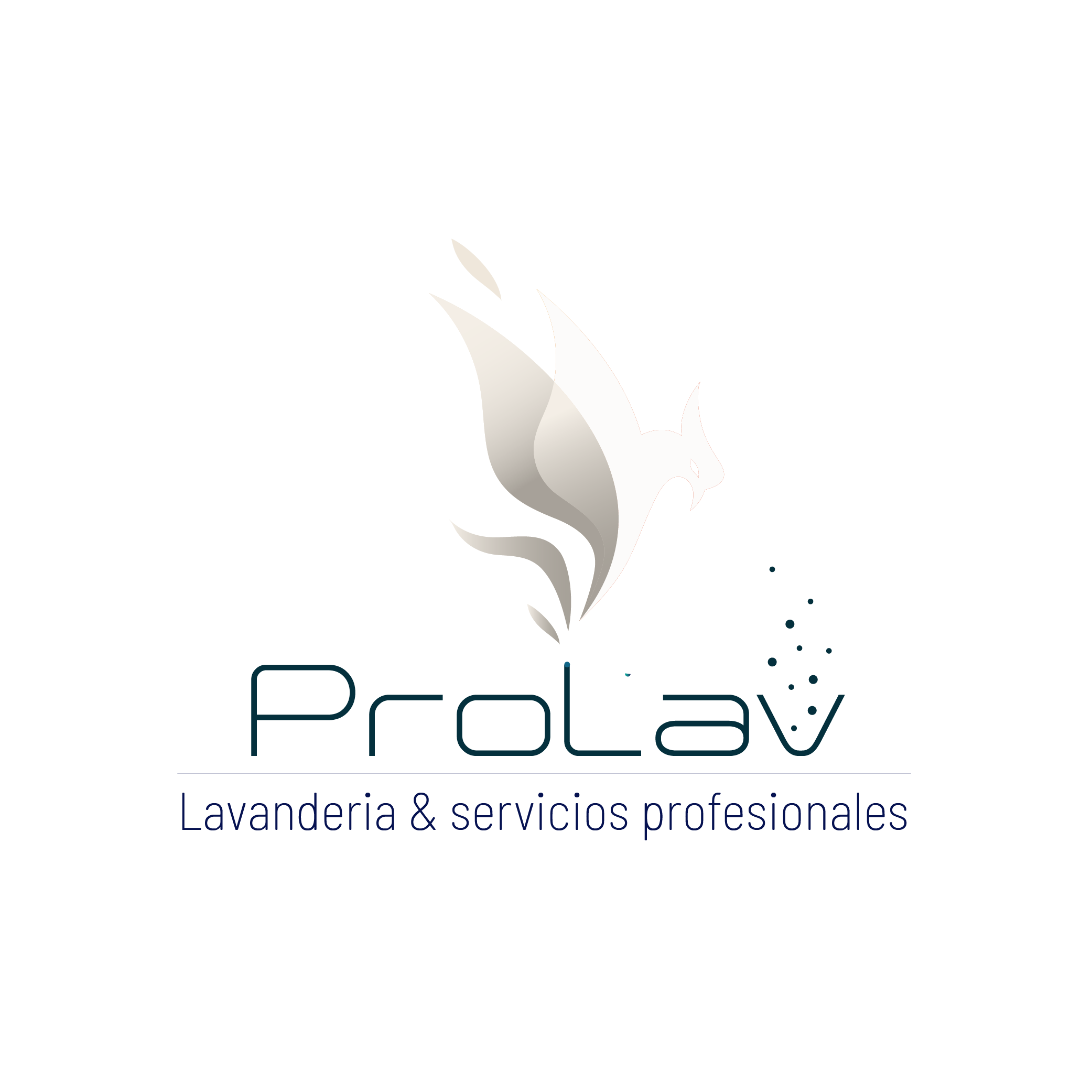 LOGO PROLAV FINAL-01